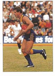 1990 Select AFL Stickers #241 Dwayne Lamb Front
